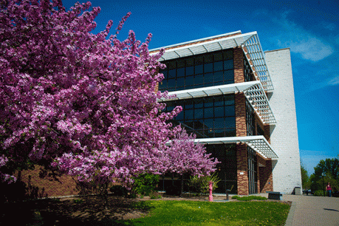 Exterior image of a large brick building in spring with colorful pink blooms on a tree with a green lawn with a sidewalk leading to the front of the building.